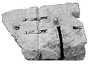 tech04bcl.gif (4085 bytes)