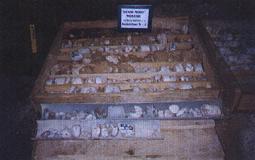 drill01.jpg (7728 bytes)
